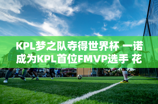 KPL梦之队夺得世界杯 一诺成为KPL首位FMVP选手 花海大满贯