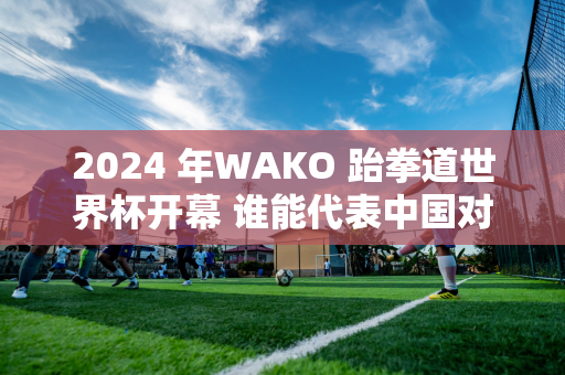 2024 年WAKO 跆拳道世界杯开幕 谁能代表中国对抗世界？