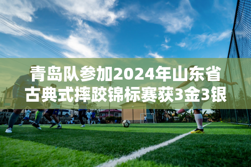 青岛队参加2024年山东省古典式摔跤锦标赛获3金3银5铜