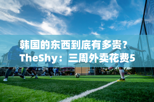 韩国的东西到底有多贵？ TheShy：三周外卖花费55万韩元 200韩元买了6个桃子