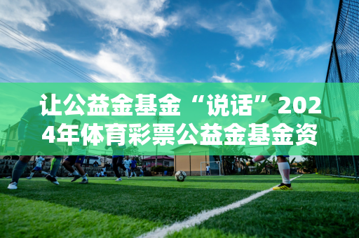 让公益金基金“说话”2024年体育彩票公益金基金资助项目推广典型案例揭晓