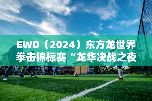 EWD（2024）东方龙世界拳击锦标赛“龙华决战之夜”隆重举行 见证高手逐梦、奋战巅峰！