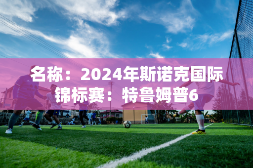 名称：2024年斯诺克国际锦标赛：特鲁姆普6