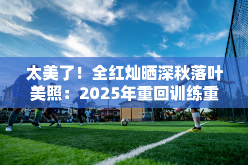 太美了！全红灿晒深秋落叶美照：2025年重回训练重回巅峰？