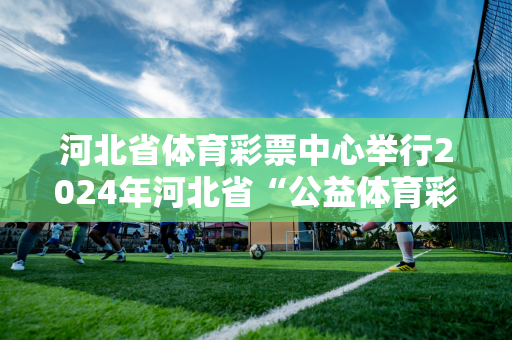 河北省体育彩票中心举行2024年河北省“公益体育彩票·欢乐游乐场”活动启动仪式