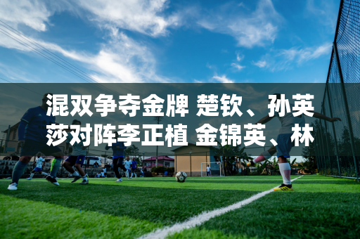 混双争夺金牌 楚钦、孙英莎对阵李正植 金锦英、林重勋、申宥彬争夺铜牌