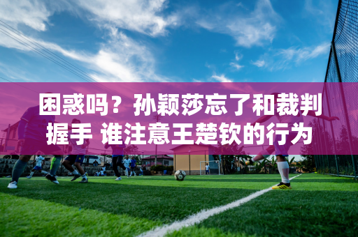 困惑吗？孙颖莎忘了和裁判握手 谁注意王楚钦的行为 莎莎惊喜还以颜色